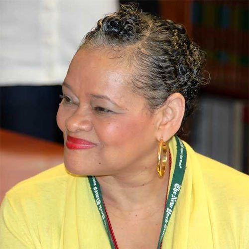 African American Studies; African American History; Black Lives Matter